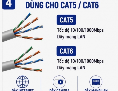 rj45-hat-mang-22