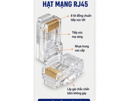 rj45-hat-mang-23