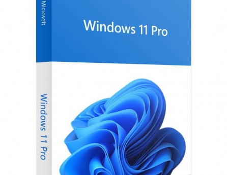 Key bản quyền Windows 11 Professional